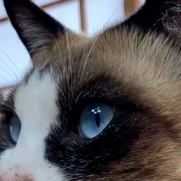 9af32796 0569 428e bf30 28282beb1449 1733203119104