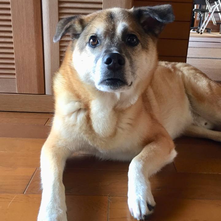 9af3431f 681b 4cd8 9787 9d3804eb0341 1565088003860