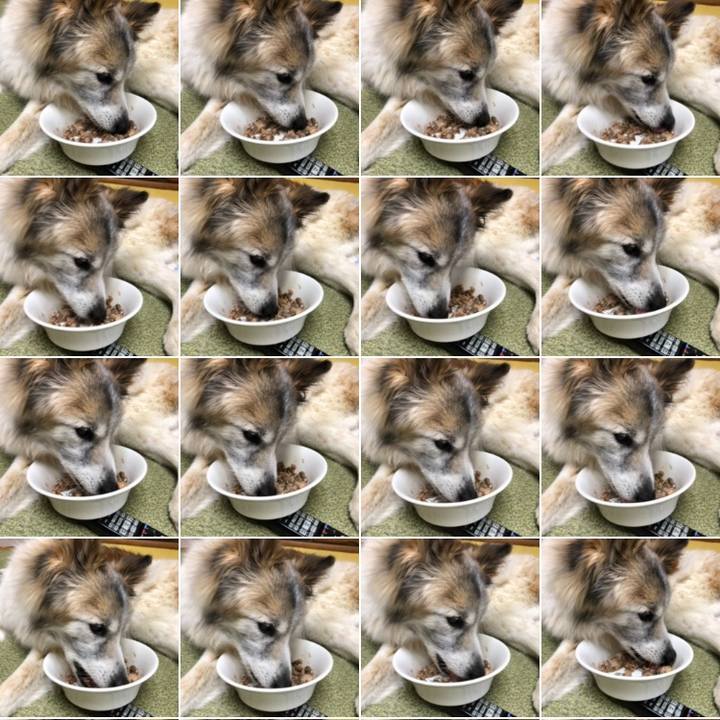 9af3669b 6970 4dd9 b546 90e66b4992aa 1553567450761