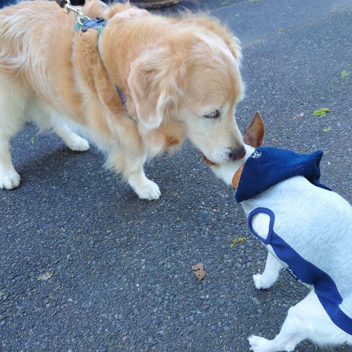 9af3ac0b b680 4472 89fe c372903ca037 1762176110861