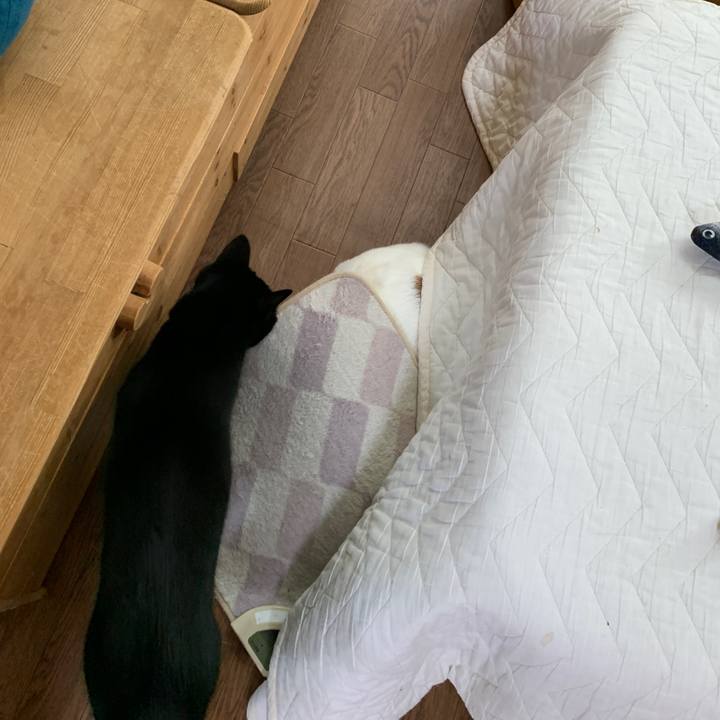 9af3d7dd 2e29 4269 b324 daa3e5865db1 1652997171248