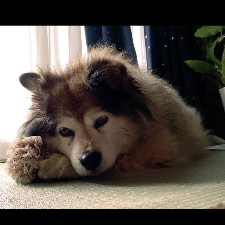 9af49de3 203c 417c b3e2 fe6b7c40bef9 1608408375671