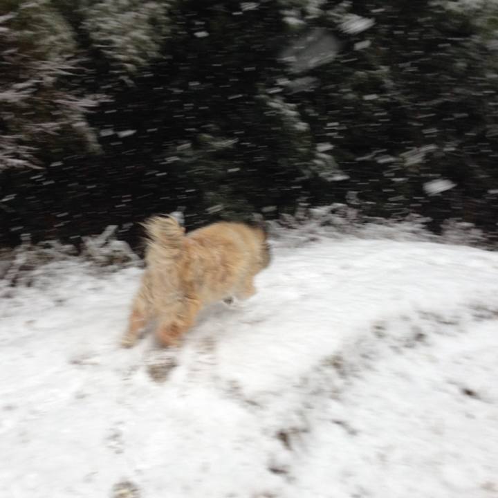 9af4f15e cf64 4348 b9f0 6ad499d7d363 1608337976405