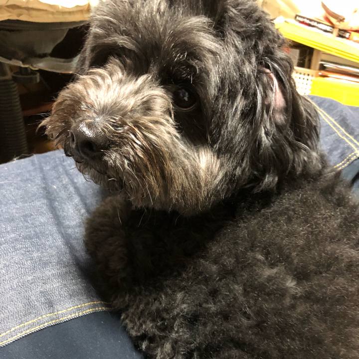 9af4f89c 084d 438e 96dd 5be9c935adc9 1525953484985