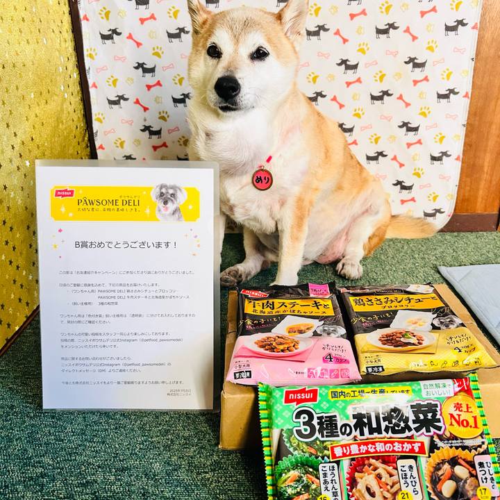 9af51a58 51e9 4143 98f1 b90367911d39 1753408828887