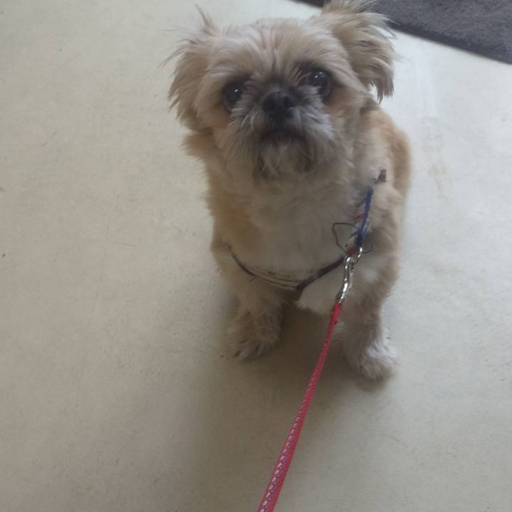 9af52f8f e889 46dc bbcf 7e10f695082f 1732940178400