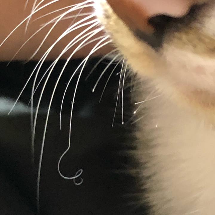 9af53346 feea 4b86 a732 9b9c3d63add5 1636185317846