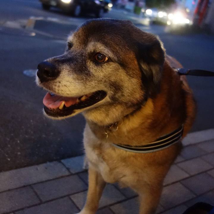 9af53d0a d43f 430d 8490 2fcadfcf2a21 1558781854870