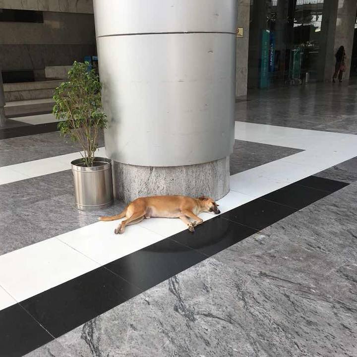 9af54e94 c290 42d6 8fee f94864322238 1532093548513