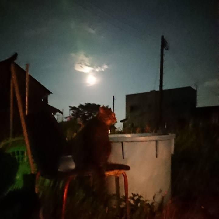 9af5521b 72f7 4e8c b5c2 ac4f6d6e2363 1660217712619