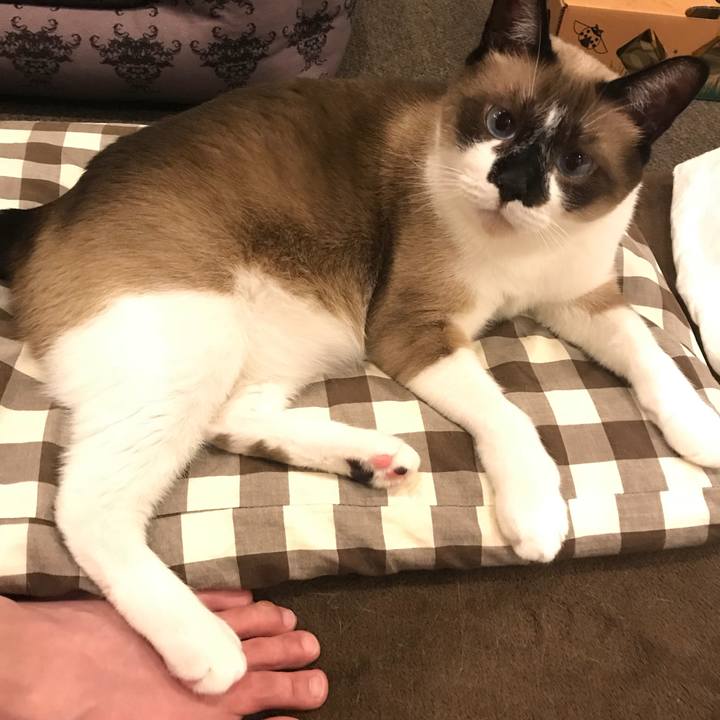 9af55aca d5e6 44d3 94c2 f052a225120c 1522070612315