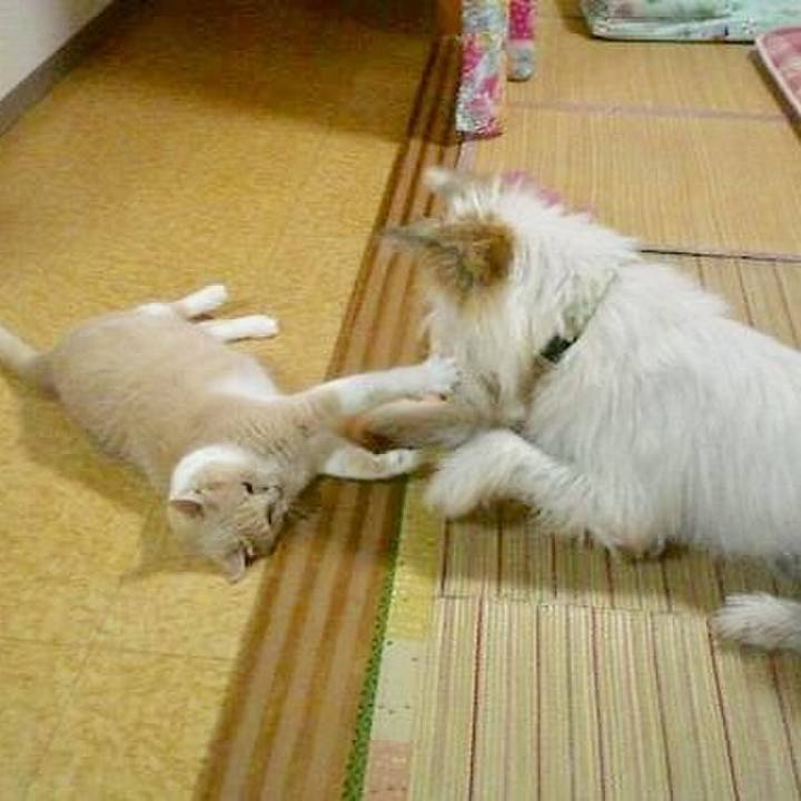 9af5aceb 06d5 4246 ada2 e7637ae32c88 1563822447171