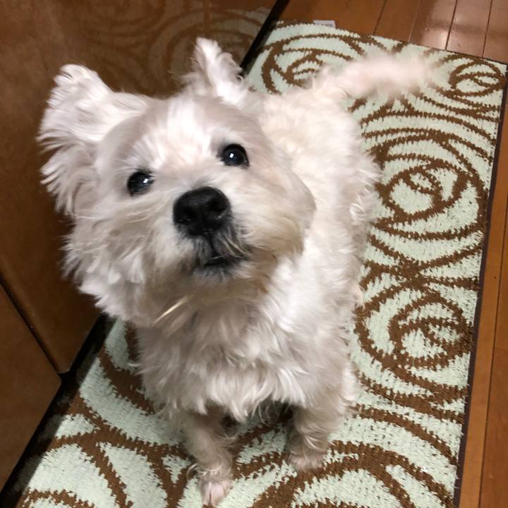 9af5ba78 851b 4037 9b6f 8b82f490da28 1546237262818