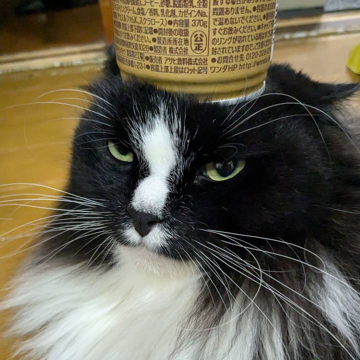 9af60634 0a92 4cea 9d5d 973d451598ed 1720444416817