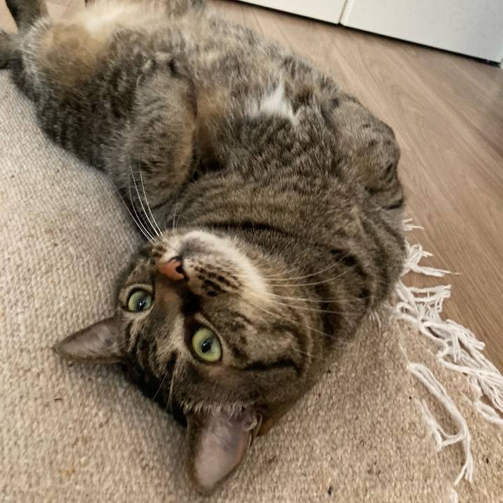 9af622b8 6f26 4338 98c8 44321f1eb4f8 1684366742833