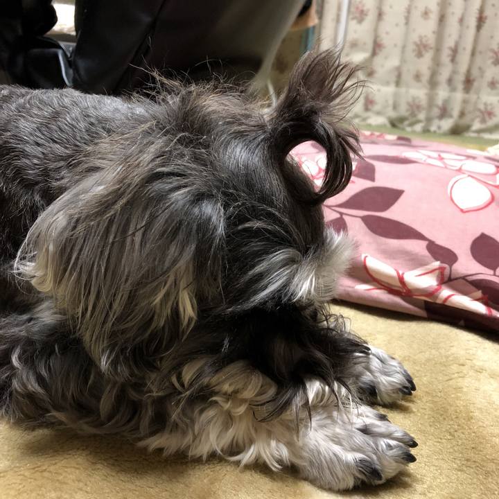 9af63517 b0b8 46b5 b868 d6d67a8ffc2a 1526995801425