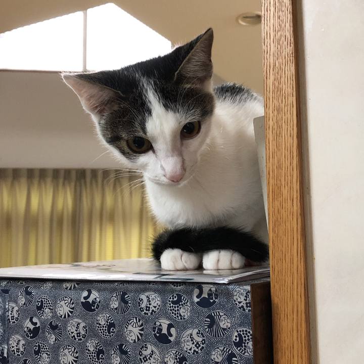 9af65f1a 9e7e 4384 b45e b81cb0048dbc 1571438242466