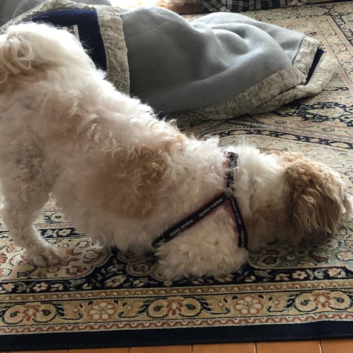 9af670ff 79ed 421e aedd 558bac7986bb 1588809192483