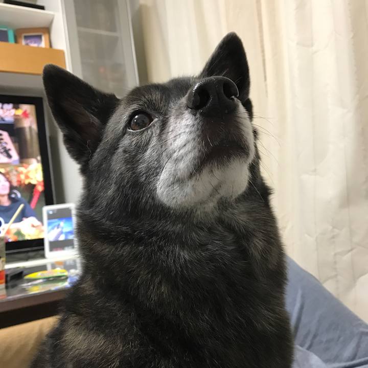 9af67474 2ce1 4944 8213 dcea38a592e3 1508856108301