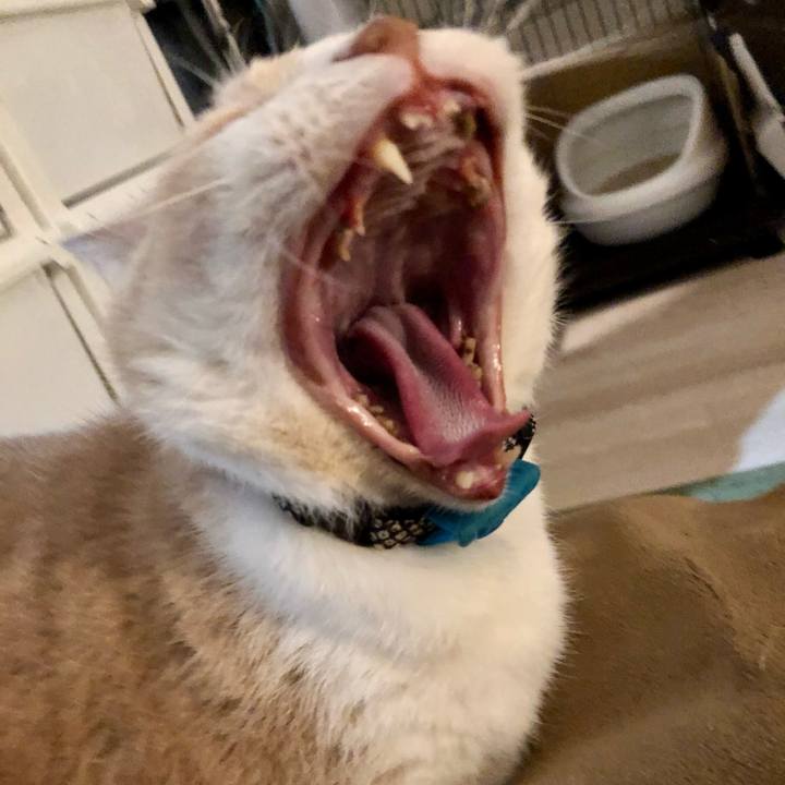 9af6ae8a 947f 4c42 9324 dfc30cae848e 1611910944277