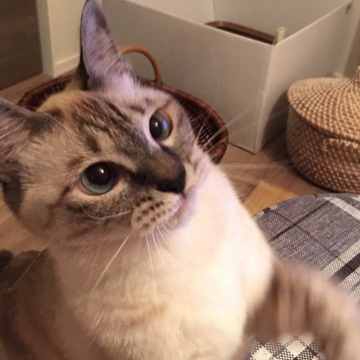 9af6ccb4 b152 4275 9215 64b0ca82e157 1568458805024