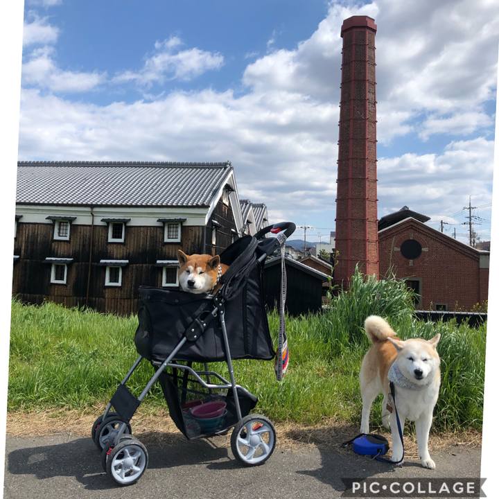 9af6ccbb aa8c 43cd 9d6c 9c5c949930bb 1584749558565