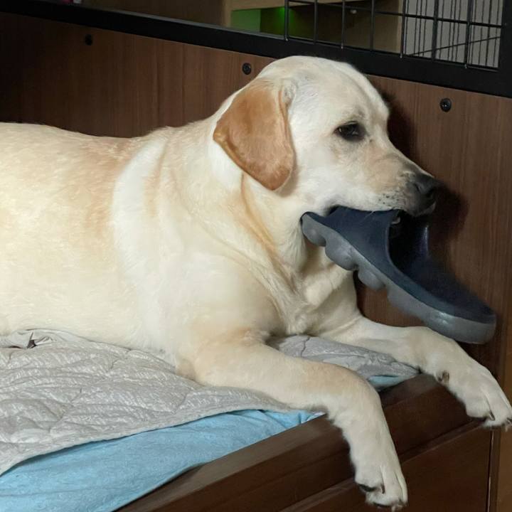 9af6d2ed 23d1 4d9e 9c2d eb73a53c8fee 1632436267257