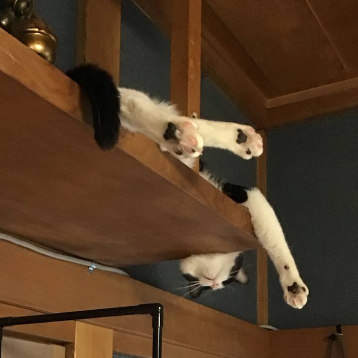 9af6e940 200f 4fb9 9a0c ecb0d5787d6a 1693306179871