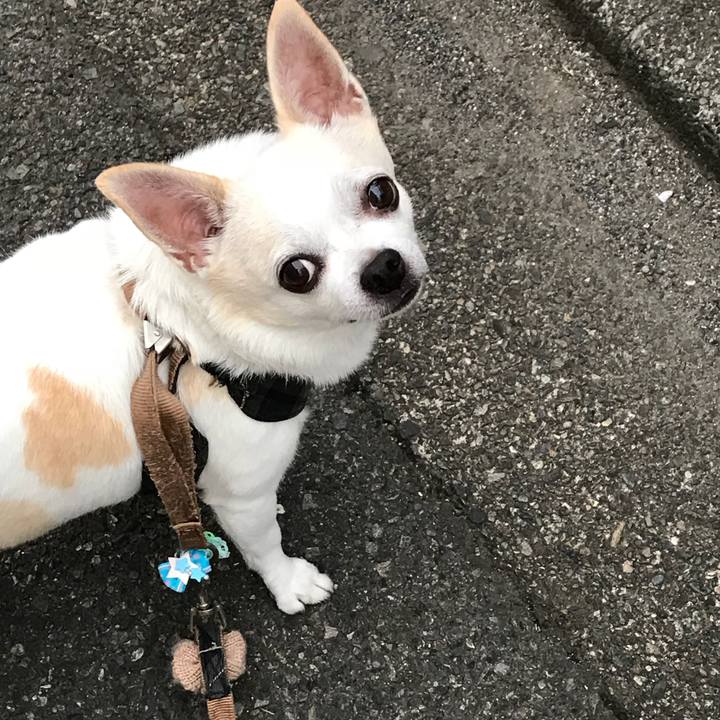 9af6ee04 eb7c 476d 8add e2fb3fe05212 1535464487060