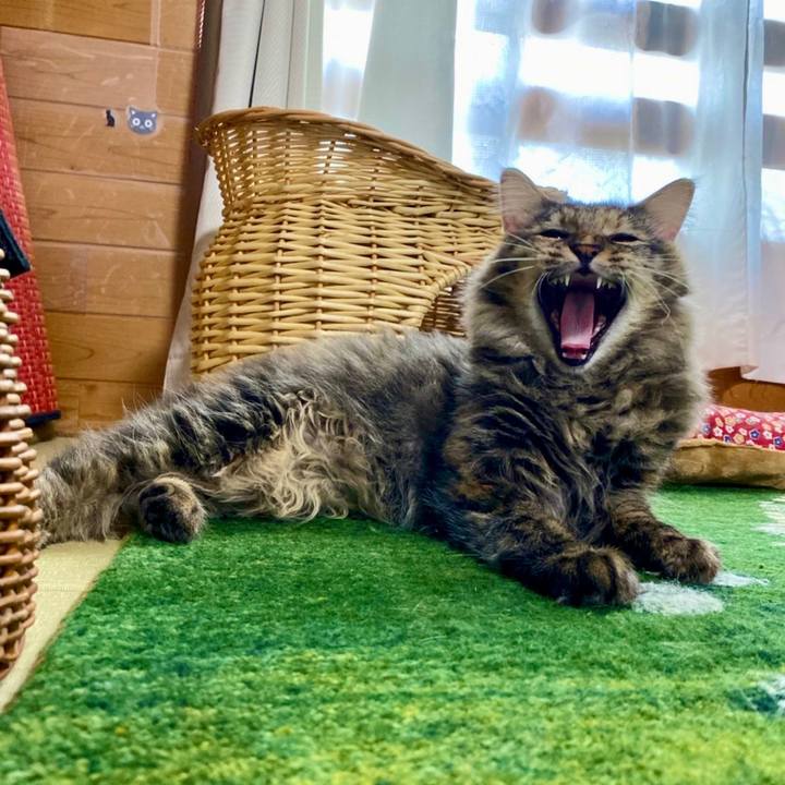 9af6ff7f ea50 4610 98f4 710a8d707952 1658068008031