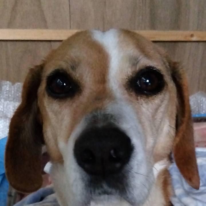 9af730ad 88b1 440f afc0 d011d4d74fc0 1684650261514