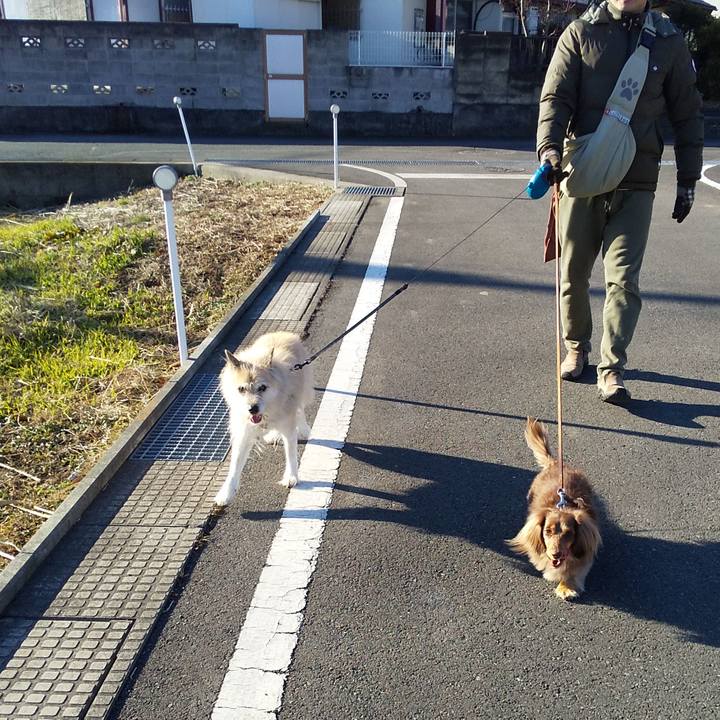 9af7319f ea35 4e75 823b d90010ded869 1577841674503