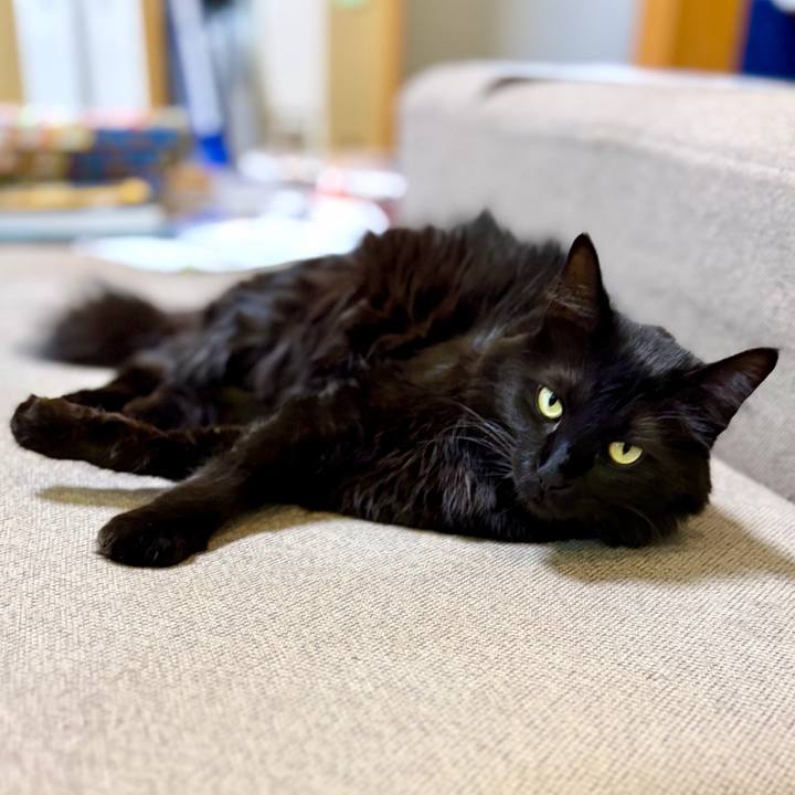 9af735c5 df20 4e03 9f82 ed222ceb1a40 1773138003915