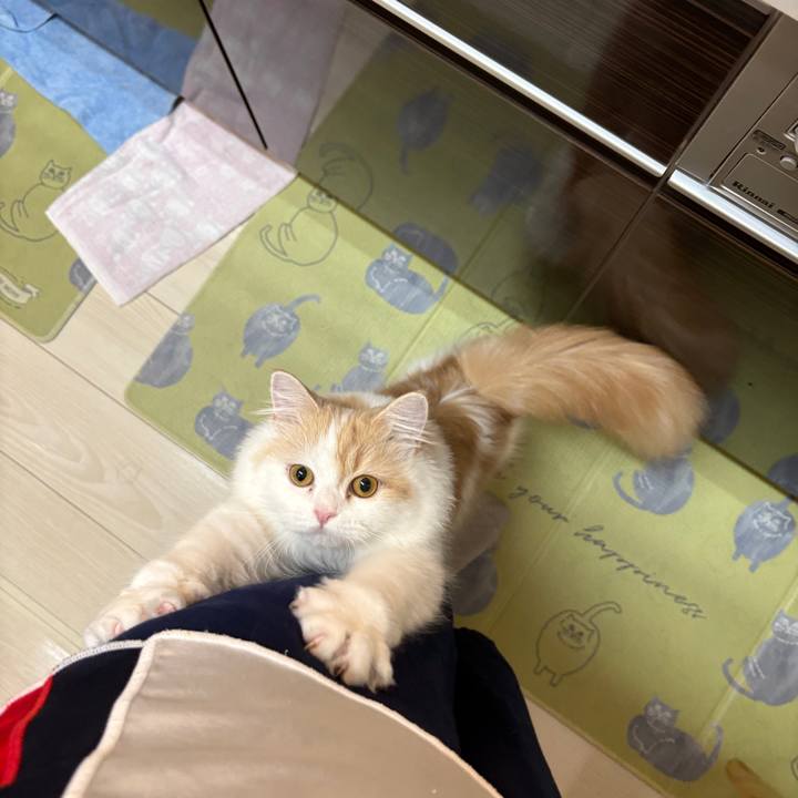 9af73c9e 64c7 447a a852 79a6f522781f 1756509370022