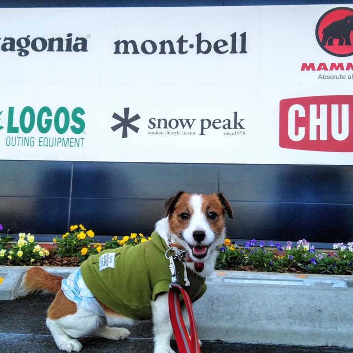 9af74996 85fa 4356 825a ca24814040e4 1542420255847