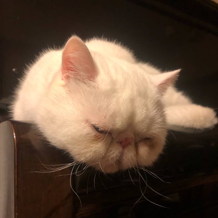 9af79ce4 eb15 478e b94b 0af34025a7a6 1639829671425