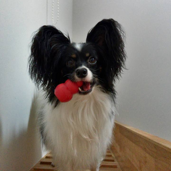 9af7c654 dd07 4594 acd0 39f782e4aa8c 1508365357373