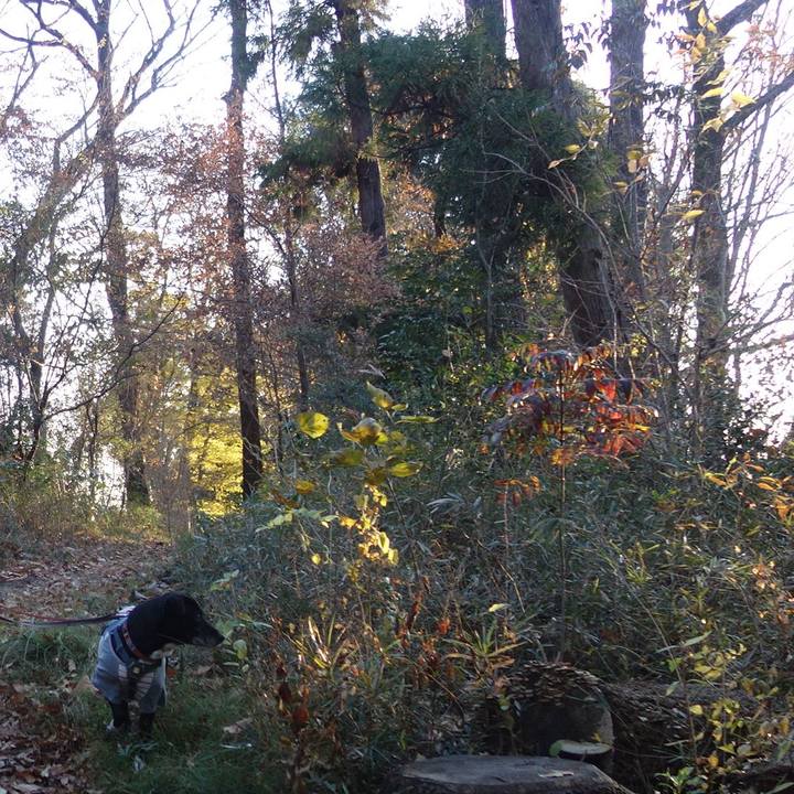 9af7cff7 ba4c 4562 b0c1 118f82e71a11 1734655057885