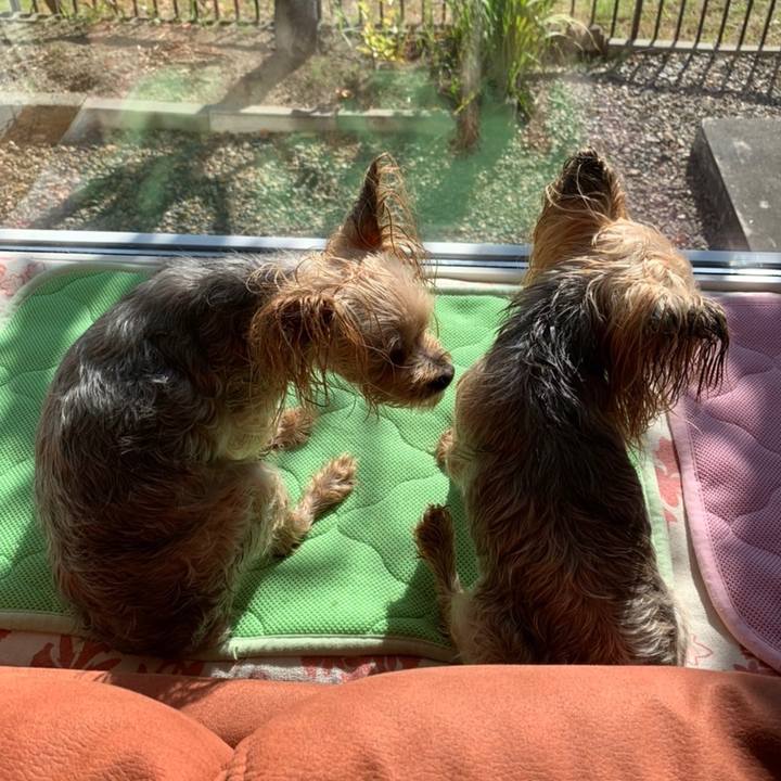 9af7e7fa edd4 4001 99c8 5e4970e9ec65 1632217121443