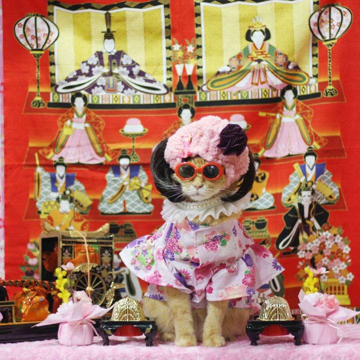 9af8142c a4ce 4c70 86db 5744671693d1 1677639904521