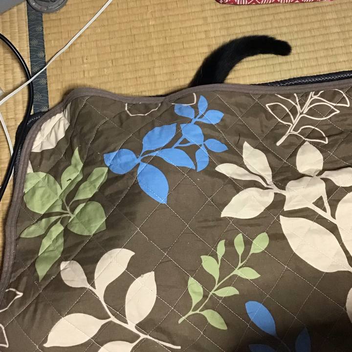 9af81a22 3d5b 4ee5 b09b a919d8c22b99 1633598854720