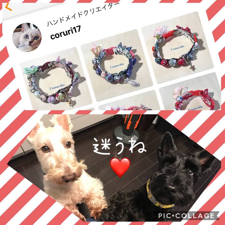 9af88337 6bce 40d6 832e 7a49f71e9991 1564547382604