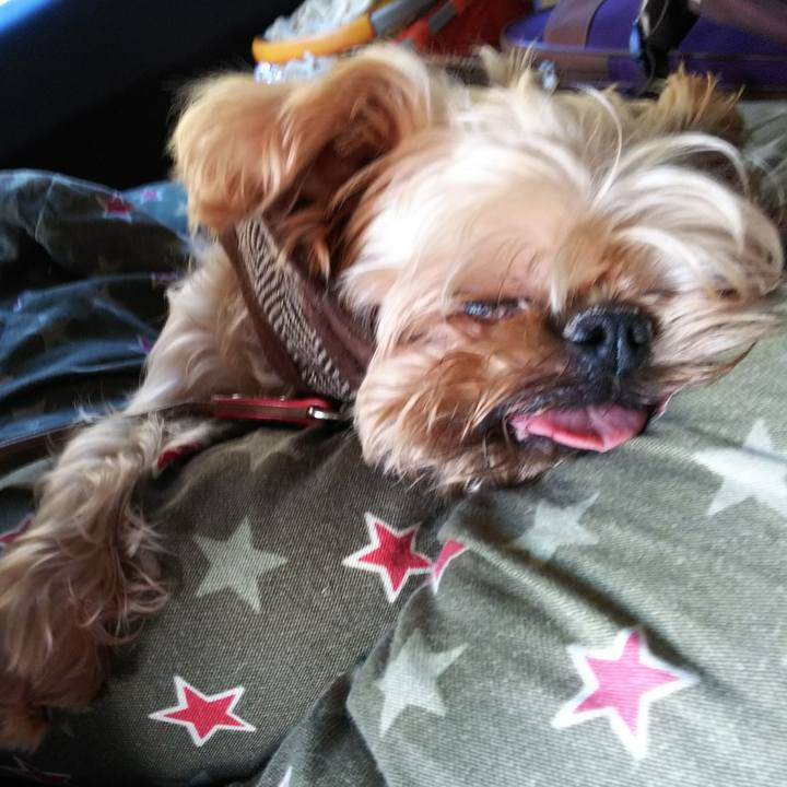 9af8bb93 dcef 4119 b9aa 54a66fa158d0 1512911292485