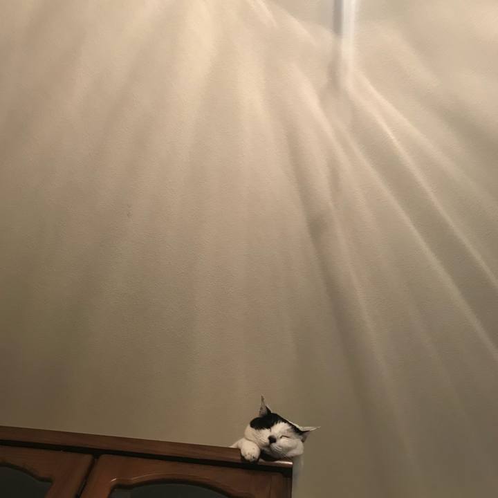 9af8be4c 55a0 45a9 a3e4 78ba9ed1c5a3 1538409803890