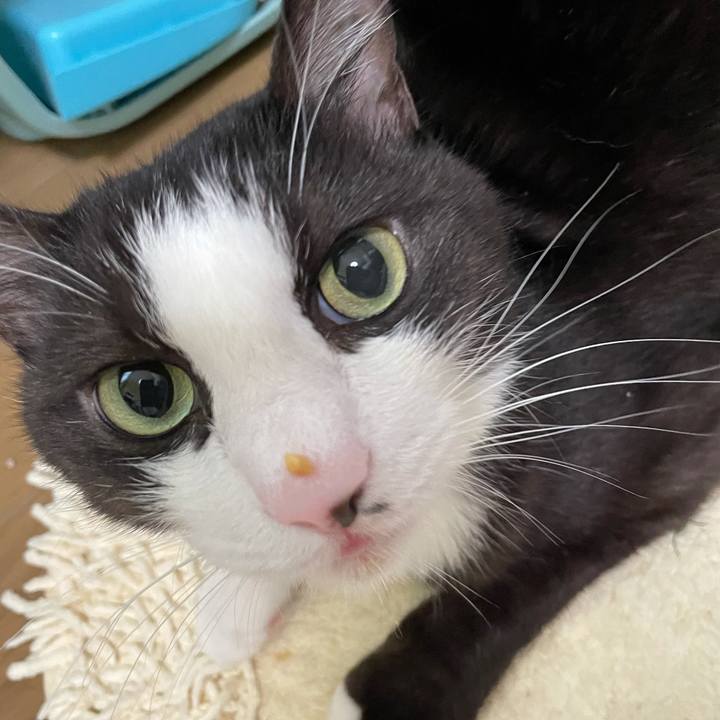 9af8d592 2ff6 49cf b534 723fd1d36049 1635894128786