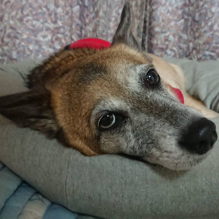 9af934d0 cad7 42fb 874a a761ec0d70dc 1516368014429