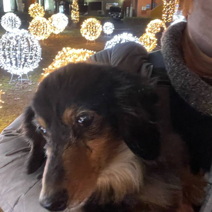 9af96bb5 91d0 441a bbed f85b84277731 1669471333960