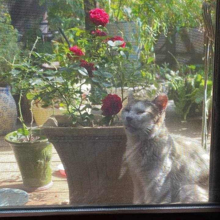 9af96c0d 2481 4270 802d 771b8e55ad7e 1722462174596