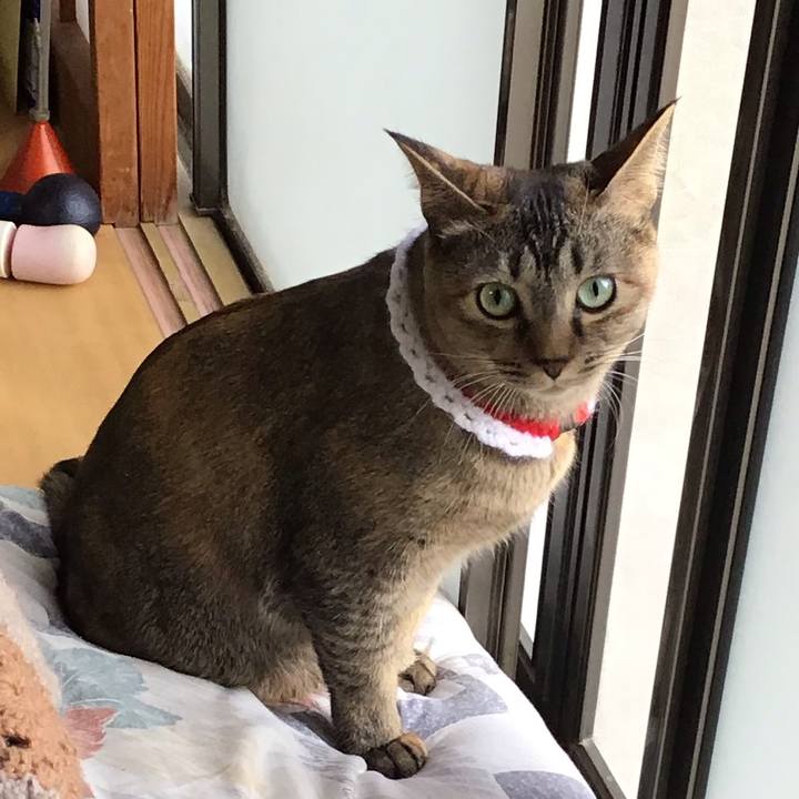 9af996b6 d422 4010 a6a4 0f1742522984 1609117570796