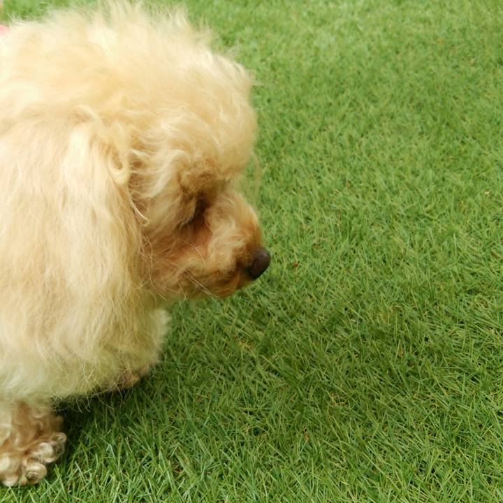 9af9bc83 fe88 4fb3 8de8 ace36bb45669 1528286597199